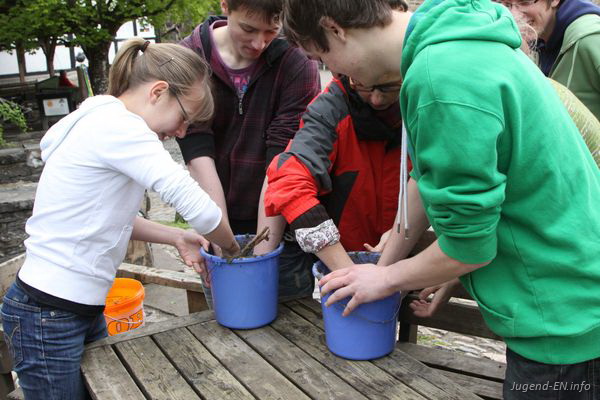 Galerie: 89 - Bild: 225