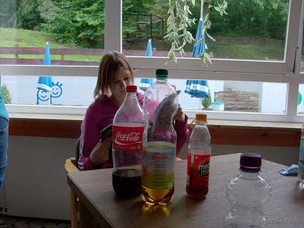 Galerie: 98 - Bild: 283