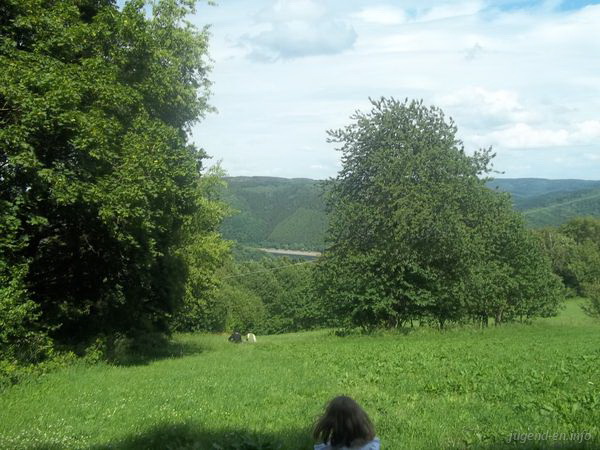 Galerie: 98 - Bild: 43