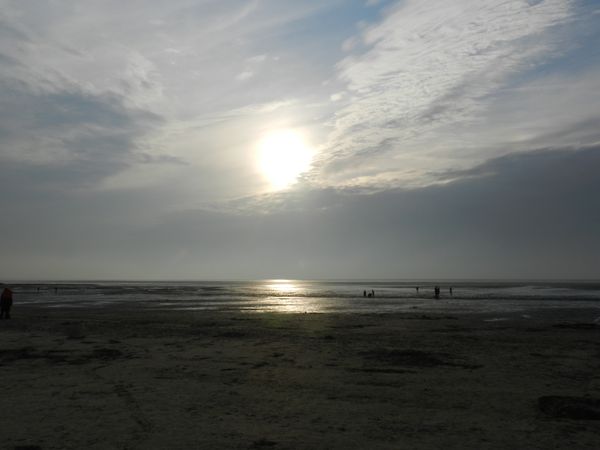 Galerie: 100 - Bild: 195