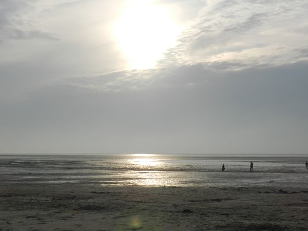 Galerie: 100 - Bild: 197