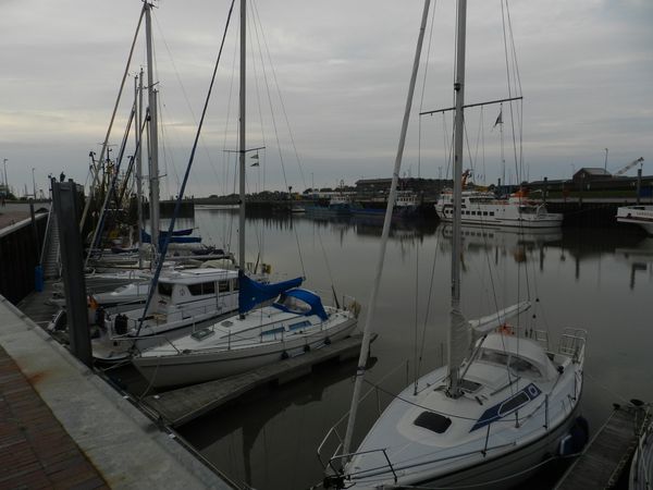 Galerie: 100 - Bild: 212