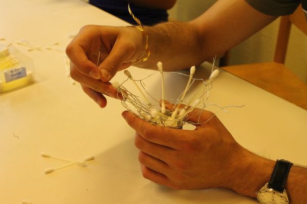 Galerie: 100 - Bild: 269