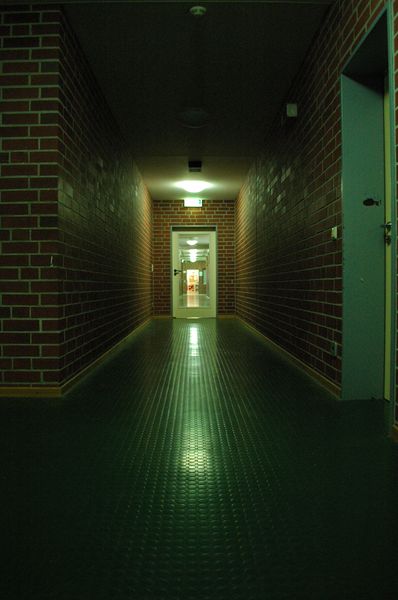 Galerie: 100 - Bild: 306