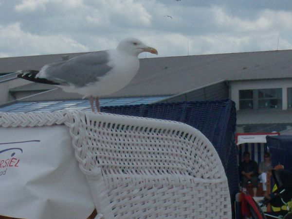 Galerie: 100 - Bild: 320