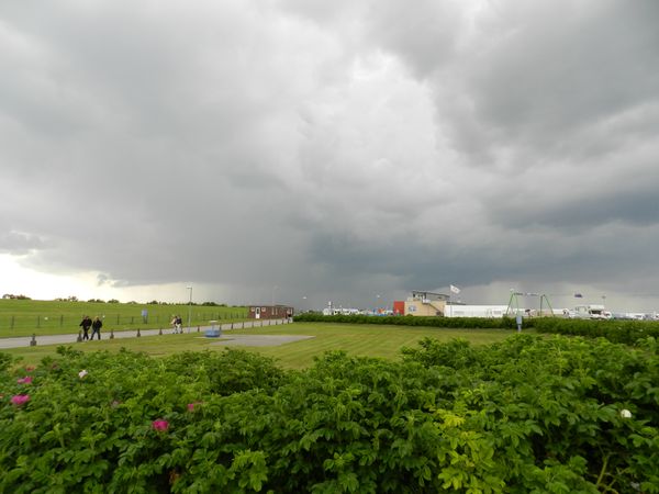 Galerie: 100 - Bild: 337