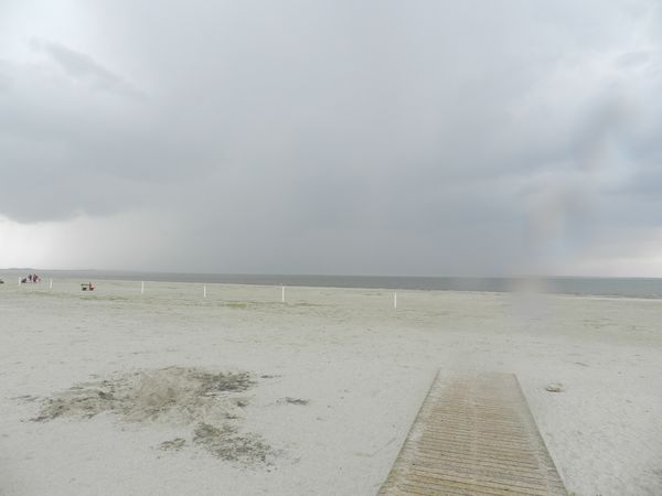 Galerie: 100 - Bild: 339