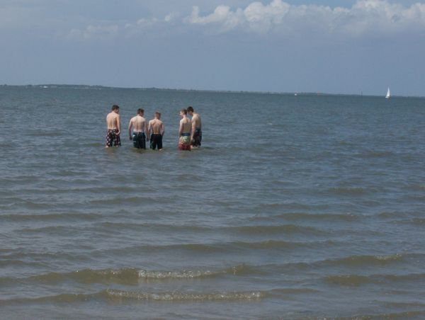 Galerie: 100 - Bild: 342