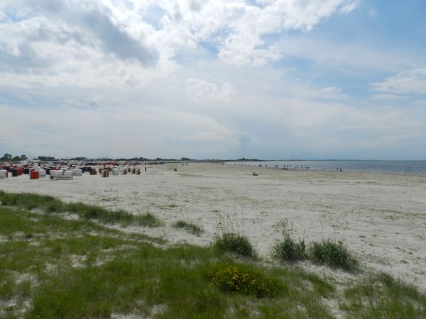 Galerie: 100 - Bild: 353