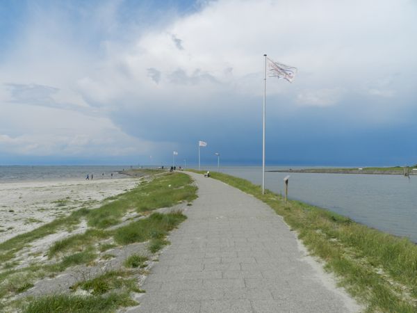 Galerie: 100 - Bild: 354