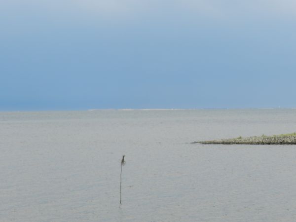 Galerie: 100 - Bild: 357