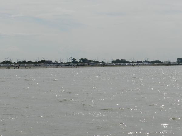 Galerie: 100 - Bild: 358