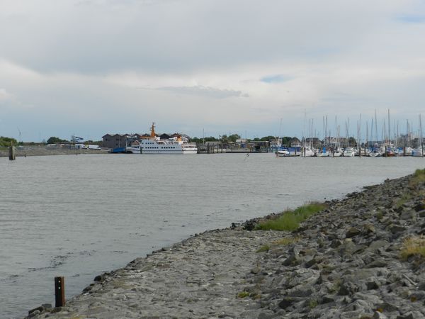 Galerie: 100 - Bild: 360