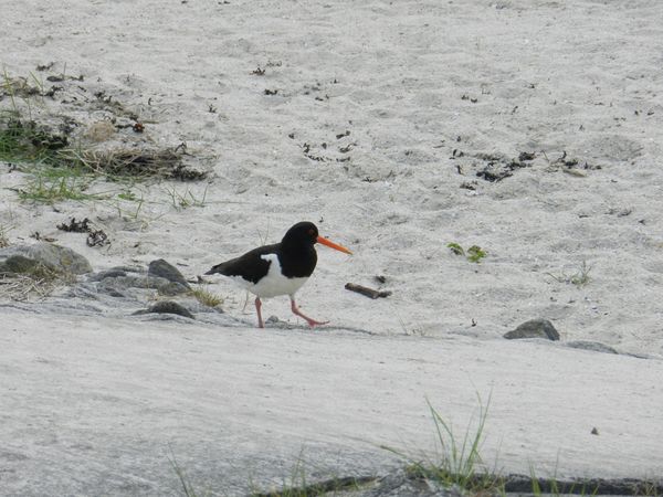 Galerie: 100 - Bild: 361