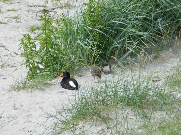 Galerie: 100 - Bild: 362