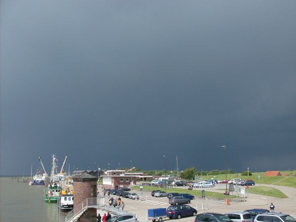 Galerie: 100 - Bild: 369