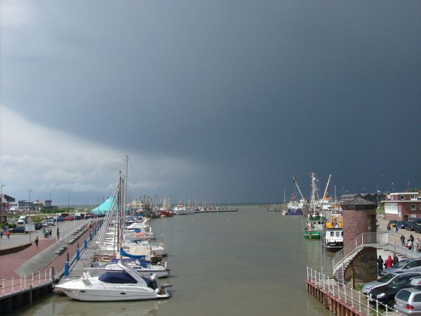 Galerie: 100 - Bild: 370