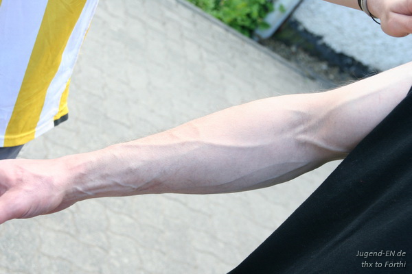 Galerie: 66 - Bild: 456