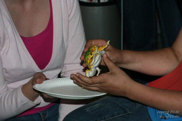 Galerie: 66 - Bild: 496