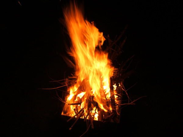 Galerie: 16 - Bild: 179