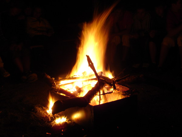 Galerie: 16 - Bild: 182