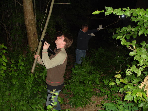 Galerie: 16 - Bild: 226