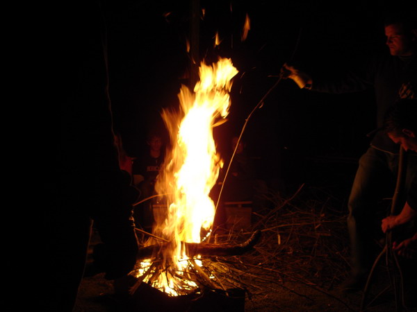 Galerie: 16 - Bild: 229