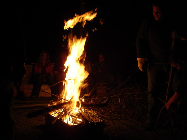 Galerie: 16 - Bild: 230