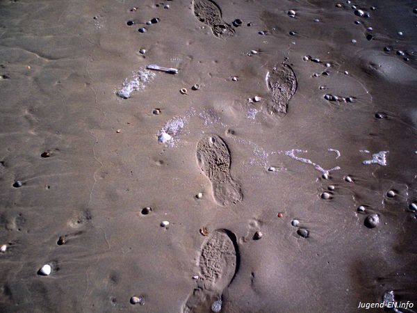 Galerie: 84 - Bild: 26