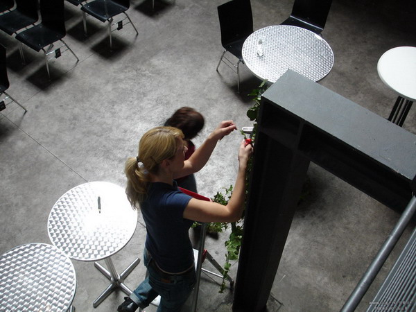 Galerie: 18 - Bild: 15