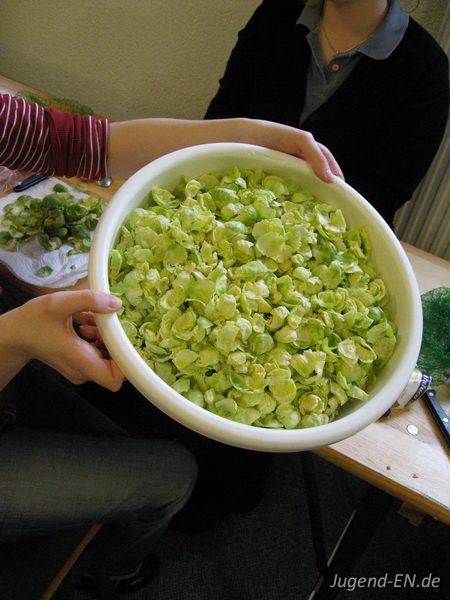 Galerie: 61 - Bild: 11