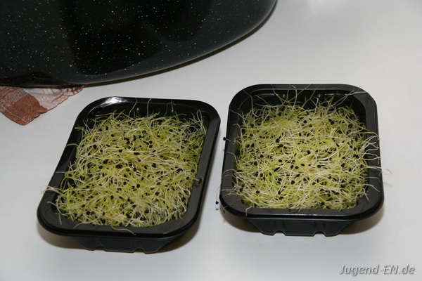 Galerie: 61 - Bild: 130