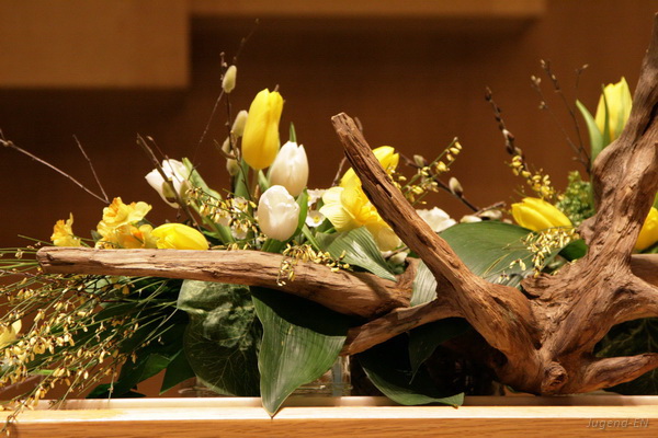 Galerie: 76 - Bild: 1