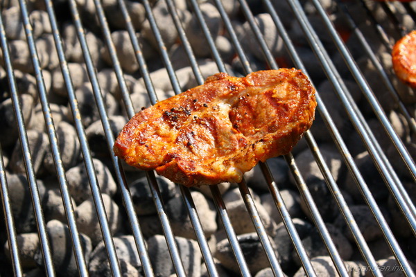 Galerie: 79 - Bild: 29